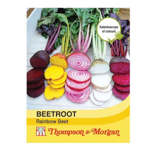 Beetroot 'Rainbow Beet' (Globe)