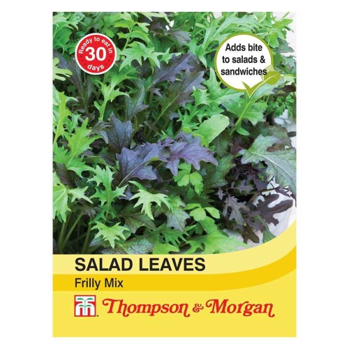 Salad Leaves 'Frilly Mixed'