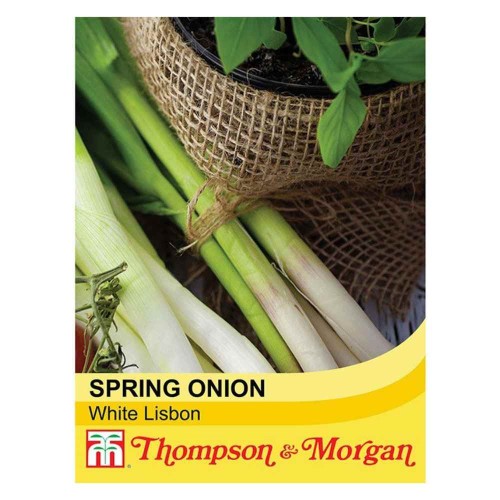 Spring Onion 'White Lisbon'