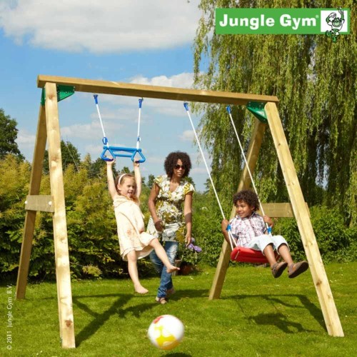 Jungle Gym Swing 